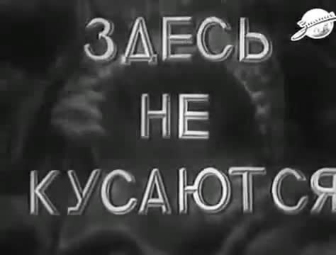 经典动画 · 1937. Здесь не кусаются