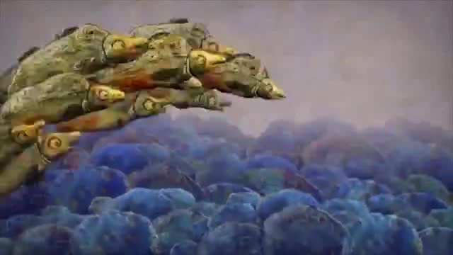 旅游介绍 · 第11集 · Сборник - Реки и порты России