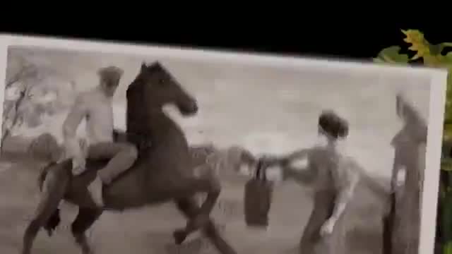 旅游介绍 · 第29集 · Сборник - Самые большие города России