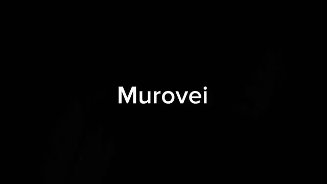 生活短片 · 第22集 · Murovei - Исправно, Стеклышко, Заказ - M