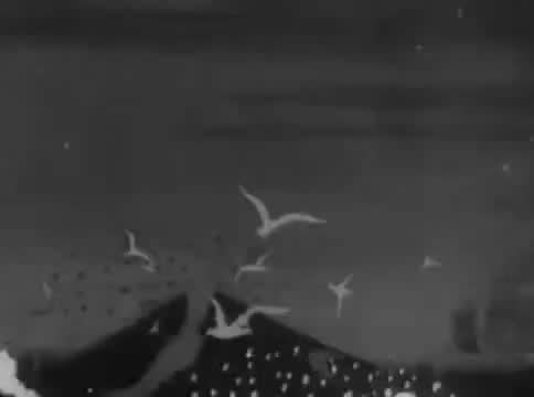 动画童话 · 第28集 · 1944. Синдбад мореход