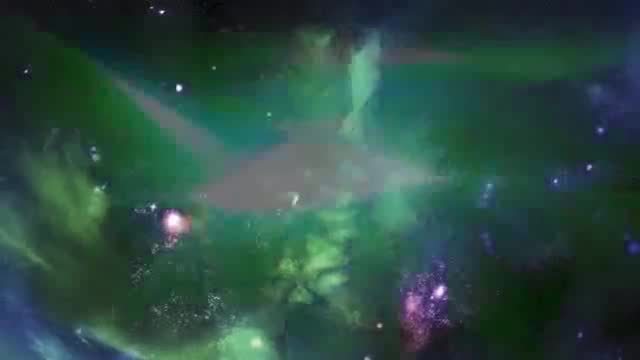 观鸟自然 · 第1集 · Как помочь птицам в городе