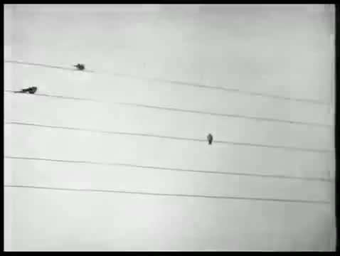苏联歌舞 · 第3集 · Веселые ребята - Jolly Fellows