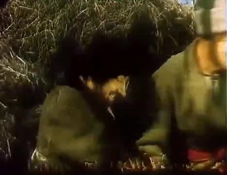 苏联童话片 · 第4集 · 1941. Конёк-горбунок