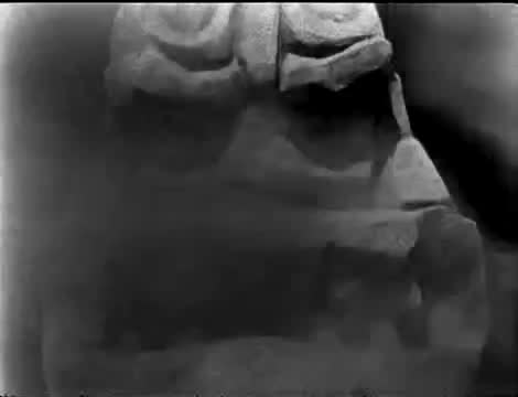 苏联童话片 · 第16集 · 1944. Кащей Бессмертный