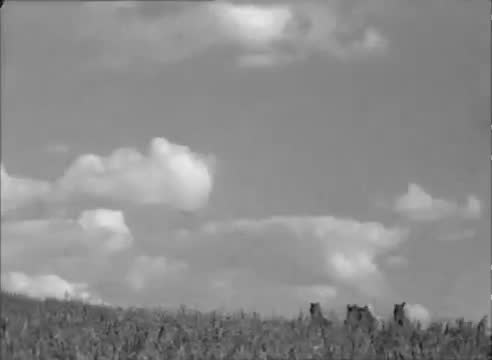 苏联童话片 · 第14集 · 1939. Василиса Прекрасная