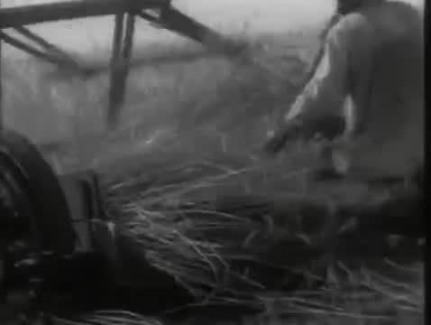 苏联歌舞 · 第41集 · Богатая невеста (1937)