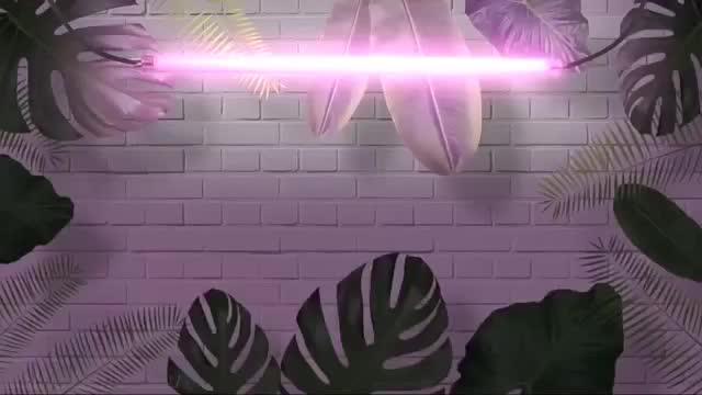 室内绿植课