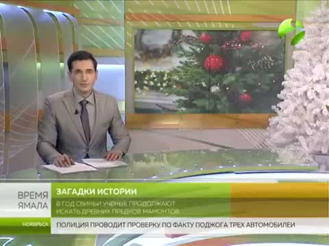 科普与科技新知