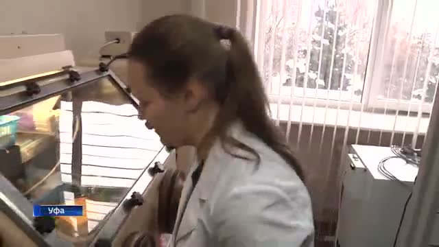乌法科学家研发新型锂硫电池与抗癌抗病毒药物
