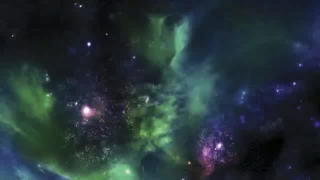 生物学家看城市公园