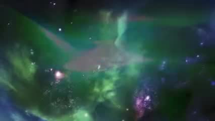 城里的树