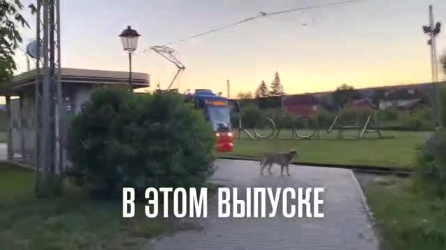 城市漫游 · 第5集 · Коломна- туристический центр, наличн