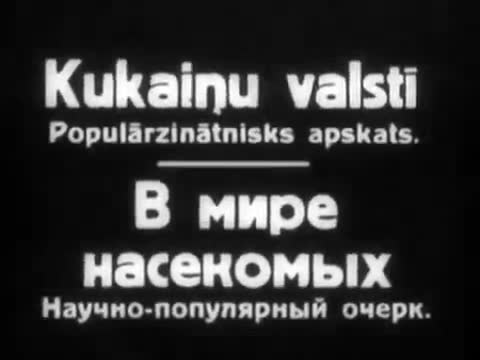 自然动物 · 第3集 · В мире насекомых (1936) документальн