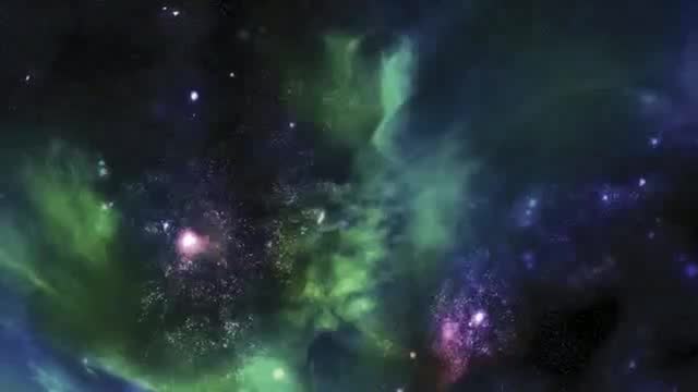 城里为什么要留草