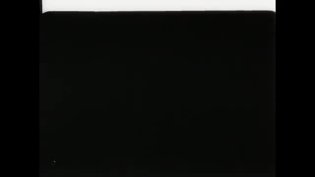 动画故事 · 第4集 · 1936. Весёлые музыканты