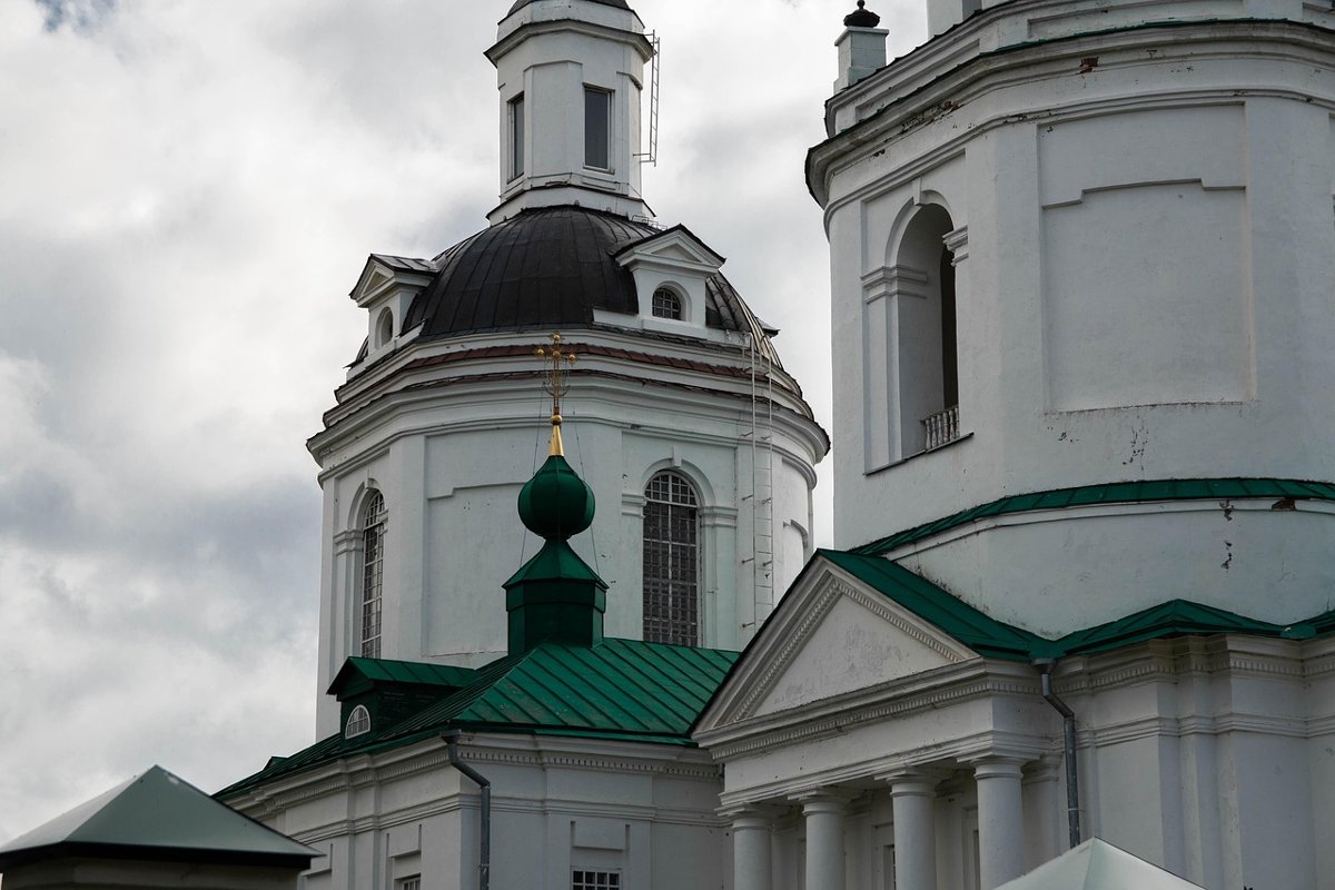 矮马先蒿 封面